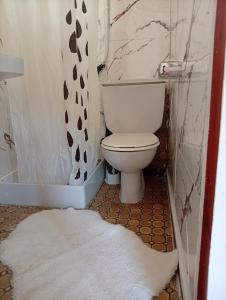 a bathroom with a toilet and a white rug at Castel bungalow in Palafolls