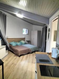 a bedroom with a bed and a desk in it at Chemin de Bizous in Montoussé