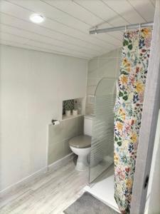 a bathroom with a toilet and a shower at Chemin de Bizous in Montoussé