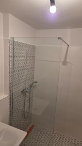 a shower with a glass door in a bathroom at Apartmán Topolová 1146 in Milovice