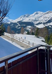 a view of a ski slope with snow covered mountains at Chalet Steinbock Wengen in Wengen