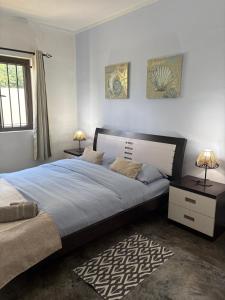 a bedroom with a large bed and two tables and two lamps at Daniblue in Riambel