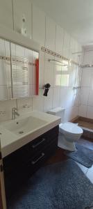 a bathroom with a sink and a toilet and a mirror at Apartmenthaus Kreuzbuche in Flühli +34 photos