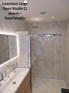 a bathroom with a shower and a sink at DuinVliet - Zandvoort Dunes & Free Parking in Bentveld