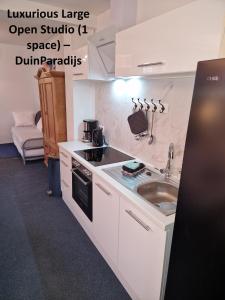 a small kitchen with a sink and a stove at DuinVliet - Zandvoort Dunes & Free Parking in Bentveld