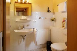 a bathroom with a sink and a toilet at Hirschsprung in Breitnau +14 photos