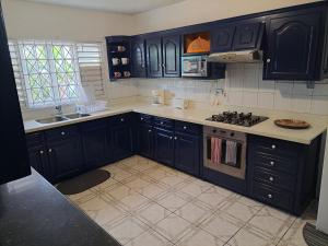 a kitchen with dark blue cabinets and a stove at Villa Vista in Steer Town