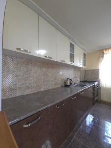 a kitchen with a sink and a counter top at Guesthouse Hikari Racha in Bostana