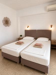 two beds sitting next to each other in a bedroom at Antonios Apartments Stegna in Archangelos +29 photos