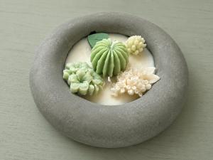 a fake succulent plant in a gray rock at Le4bergheim Chambre d'hôtes in Bergheim