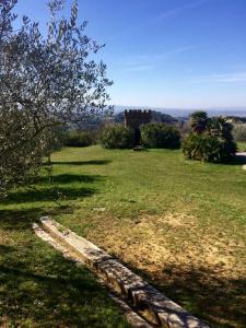 Příroda nedaleko farmy