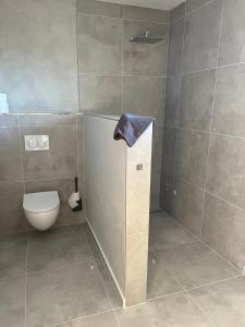 a bathroom with a toilet and a shower stall at Apartment Naturblick in Strem