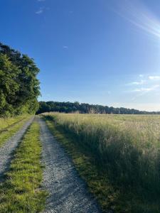 a dirt road leading through a field of grass at Apartment Naturblick in Strem +1 photo