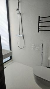 a bathroom with a shower with a toilet and a sink at Premium homes in VNO +41 photos