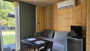 a living room with a couch and a table at Premium homes in VNO