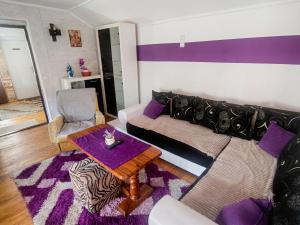 a living room with a couch and a table at Smestaj Bojanine Vode in Niš