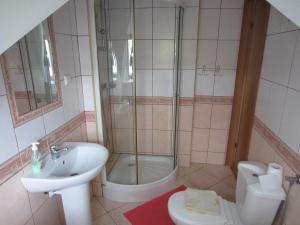 a bathroom with a shower and a sink and a toilet at Ostoja w Lipowcu in Jaśliska +29 photos