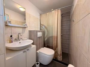 a bathroom with a sink and a toilet and a shower at Texelheerlijk 1 in De Koog +4 photos