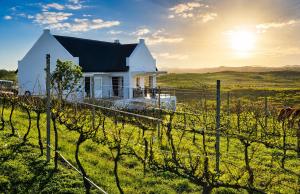 a white house in a field with a fence at Plettenvale Wines in Plettenberg Bay