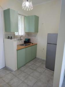 a kitchen with green cabinets and a sink and a refrigerator at PanTheo Studio's in Tyros