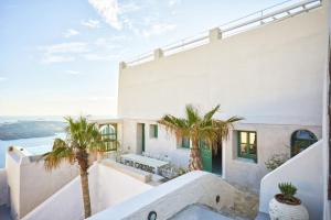 a villa with a swimming pool and palm trees at Villa Murat in Fira
