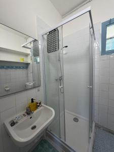 a bathroom with a shower and a sink at Meublé paisible in Tonnerre