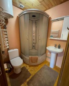 a bathroom with a shower and a toilet and a sink at Chalet Rovenka in Verkhovyna +13 photos