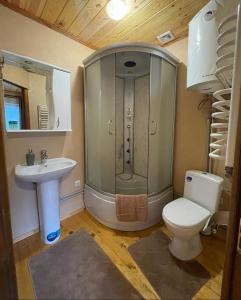 a bathroom with a shower and a toilet and a sink at Chalet Rovenka in Verkhovyna