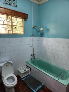 a bathroom with a bath tub and a toilet at Stellas Villa in Marangu +36 photos