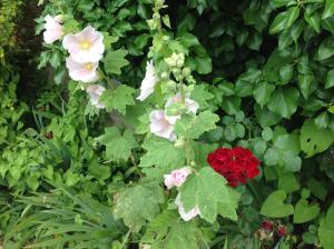 Foto dalla galleria di Al Chiarè a Oggiono