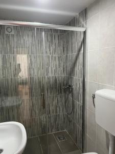 a bathroom with a shower with a toilet and a sink at Apartman Jovana in Bečej