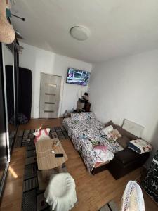 a living room with a bed and a tv at Mamaia Sea Breeze Garsonieră in Constanţa