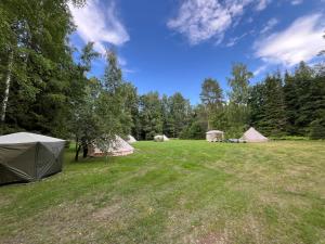 a group of tents in a field with trees at Lahemaa Nature Glamping - Eha in Vihasoo +12 photos