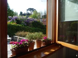 Foto dalla galleria di Al Chiarè a Oggiono