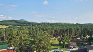 a town with cars parked in front of a mountain at Zlatibor Centar Lux in Zlatibor