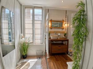 a bathroom with a sink and a mirror and some plants at Gîte du Pré Nattier - Gisors centre in Gisors