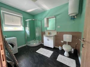 a green bathroom with a toilet and a shower at Rayand in Mostar +9 photos
