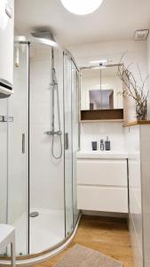a bathroom with a shower and a sink at Penzion ve dvoře in Mikulov +82 photos