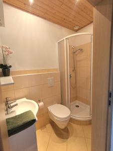 a bathroom with a shower and a toilet and a sink at Hausambalaton in Balatonakali +7 photos