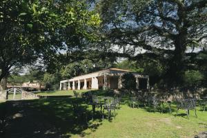 a group of chairs sitting in the grass under a tree at Rincon del Cerro I in San Lorenzo