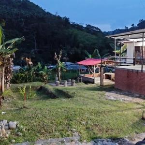a view of a garden with a mountain in the background at Las Margaritas Cabaña in Chinchiná
