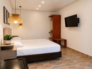 a bedroom with a bed and a flat screen tv at Eco-Hotel Palma É Coco in San Andrés