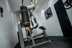 a gym with a punching bag on a treadmill at BBB Luxury Apartment in Amuwo
