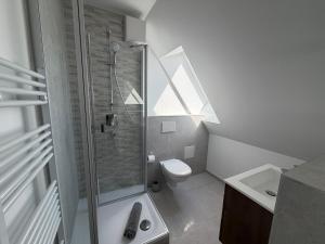 a bathroom with a shower and a toilet and a sink at BeachHus 35, Whg 4 in Sankt Peter-Ording +8 photos