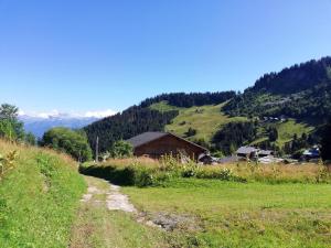 a dirt road in a field with a barn on a hill at Le Taconet in Le Praz de Lys