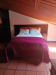 a bed with a purple blanket and pillows on it at Onde a tranquilidade Reina in Recarei