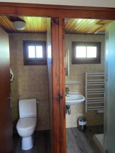 a bathroom with a toilet and a sink at Le Mazot in Veyrier-du-Lac