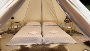 a bed in a tent with two cats laying on the floor at Vrhnika hill in Vrhnika