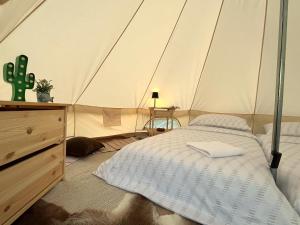 a bedroom with a tent with a bed and a cactus at Vrhnika hill in Vrhnika +36 photos