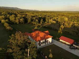 an aerial view of a house with a red roof at Agropensiunea Anovia in Aninşul din Deal